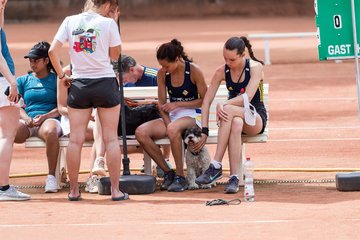 Bild 113 - BL2 THC von Horn und Hamm - Der Club an der Alster : Ergebnis: 0:9